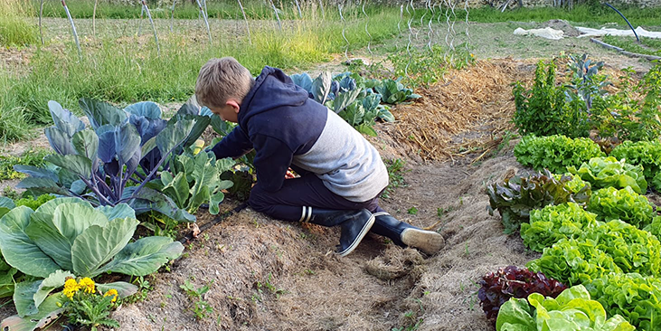 Élève au potager